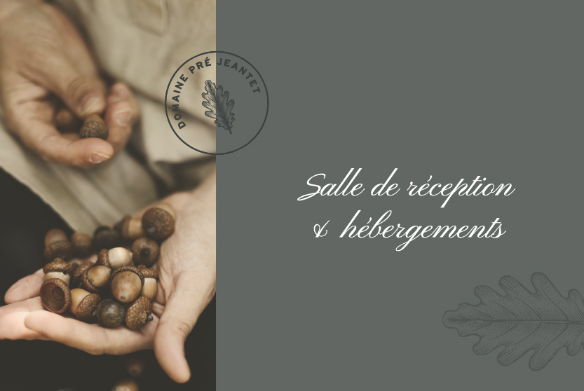 graphiste-freelance-identité-visuelle-hebergement-hotel-gite